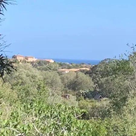 아파트 Beau T2 Entre Santa Giulia Et Palombaggia - *